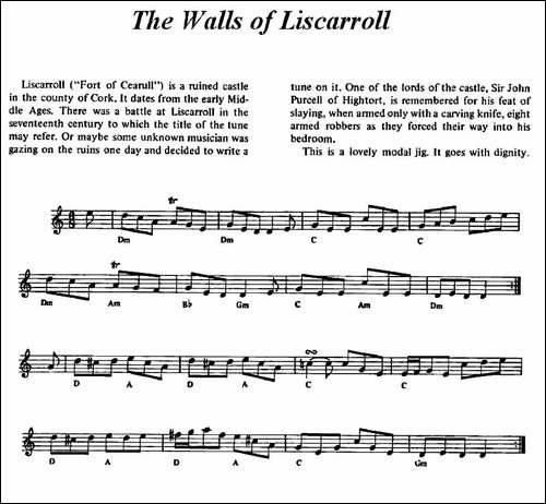 The-Walls-of-Liscarroll--爱尔兰民歌-提琴谱