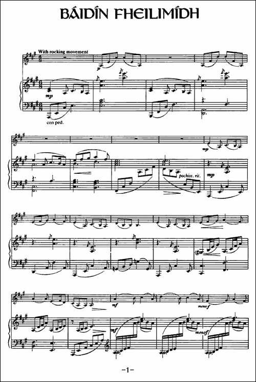 Baidin-Fheilimidh-爱尔兰曲调-提琴谱