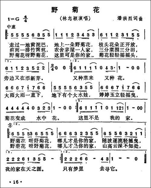 野菊花-夏歌词-夏歌-潘芳烈曲