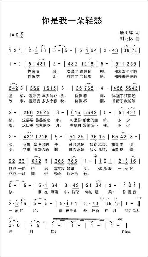你是我一朵轻愁