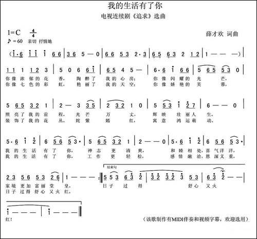 我的生活有了你-电视连续剧《追求》选曲