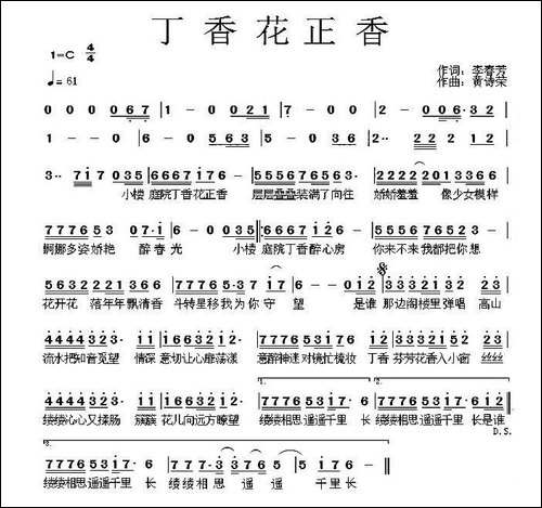 丁香花正香