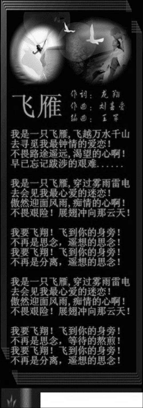飞雁