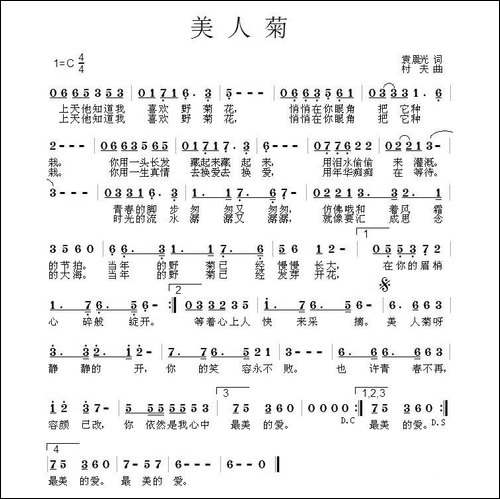 美人菊
