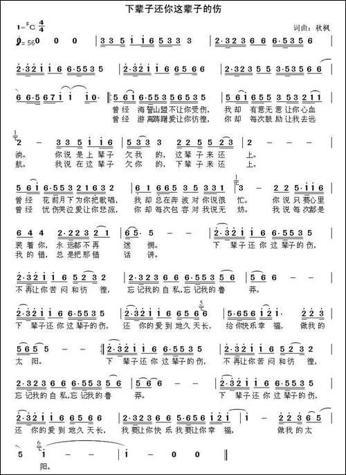 下辈子还你这辈子的伤