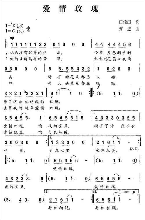 爱情玫瑰