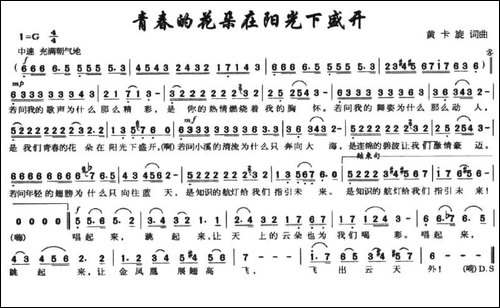 青春的花朵在阳光下盛开