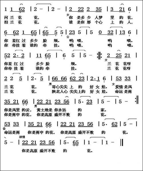 心尖尖上的兰花花