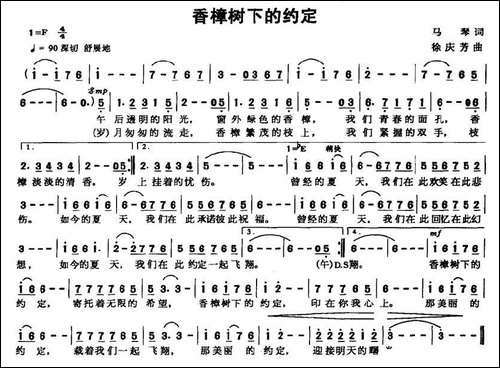 香樟树下的约定