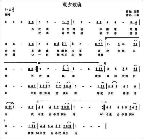 朝夕玫瑰
