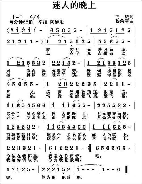 迷人的晚上