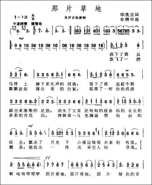 那片草地