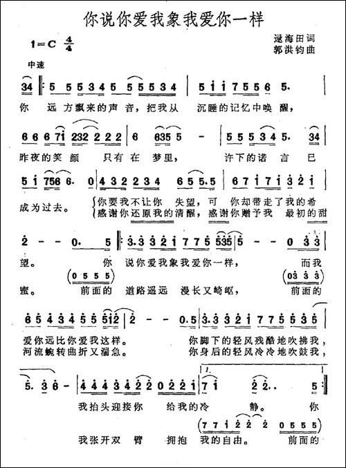 你说你爱我象我爱你一样