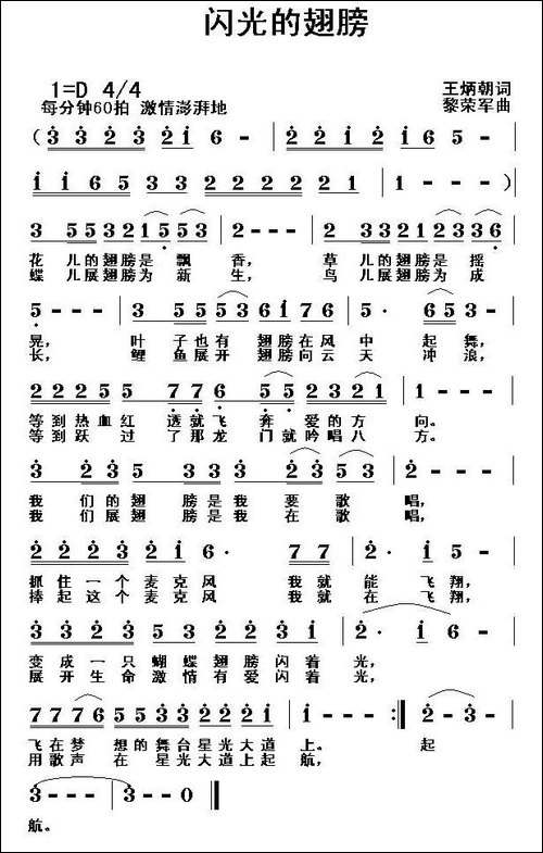 闪光的翅膀