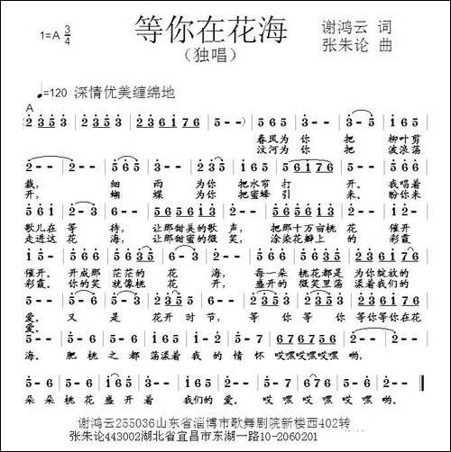 等你在花海-谢鸿云词-张朱论曲