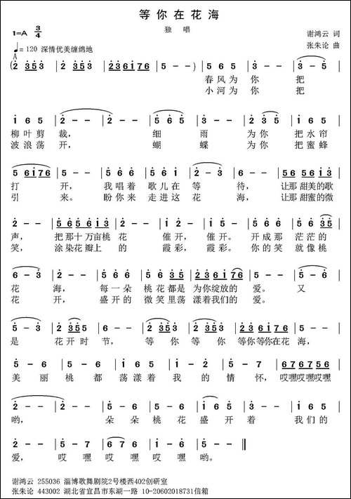 等你在花海-谢鸿云词-张朱论曲
