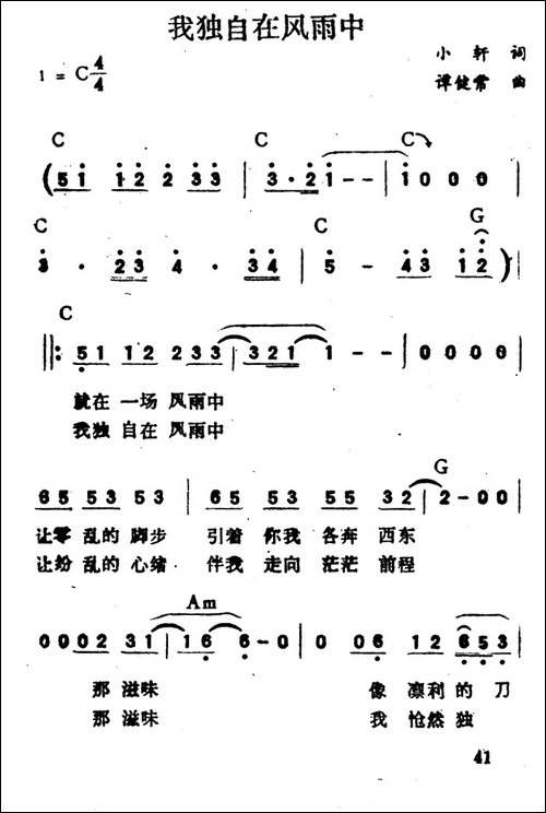 我独自在风雨中