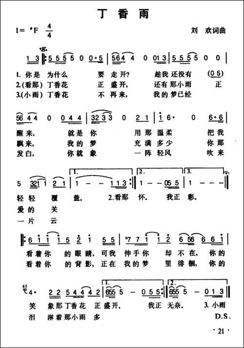 丁香雨