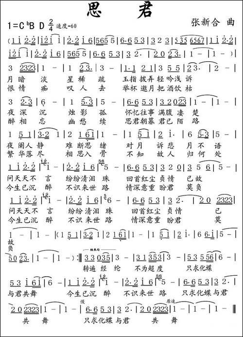 思君-长风歌词-张新合曲