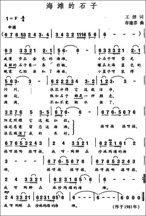 海滩的石子