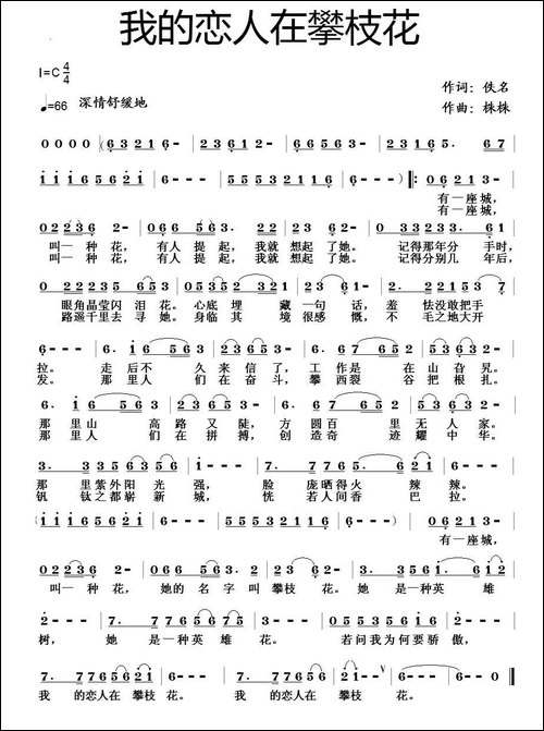 我的恋人在攀枝花