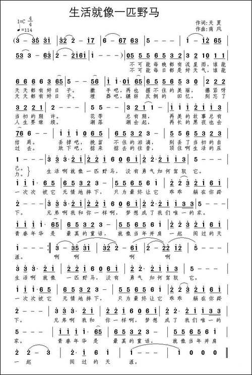 生活就像一匹野马