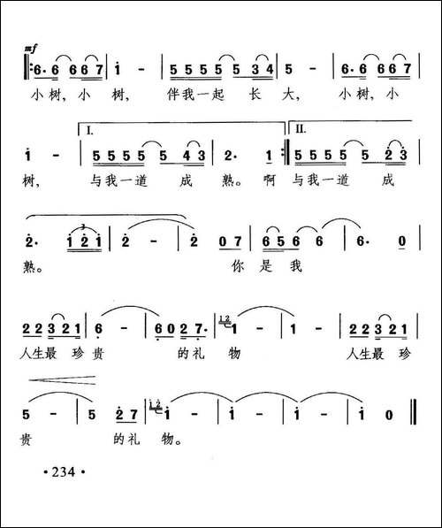 窗前的小树