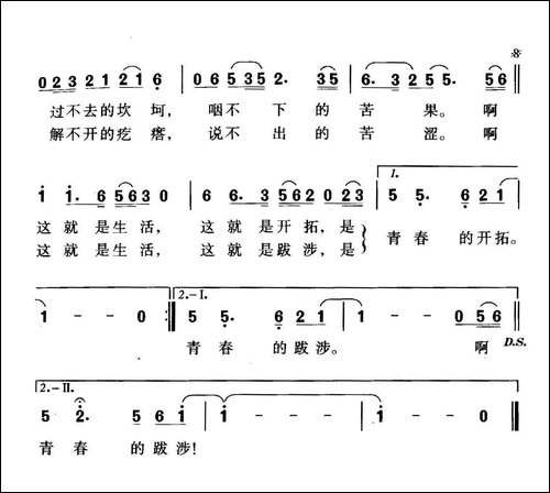青春的跋涉