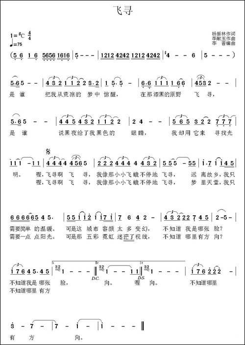 飞寻