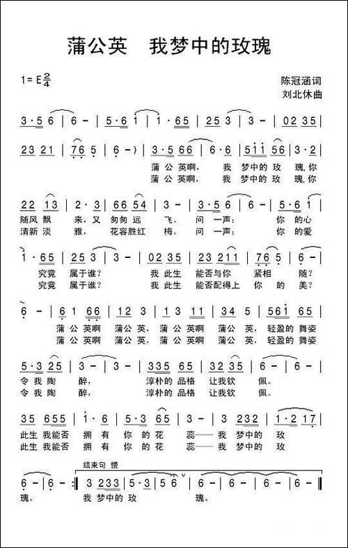 蒲公英，我梦中的玫瑰