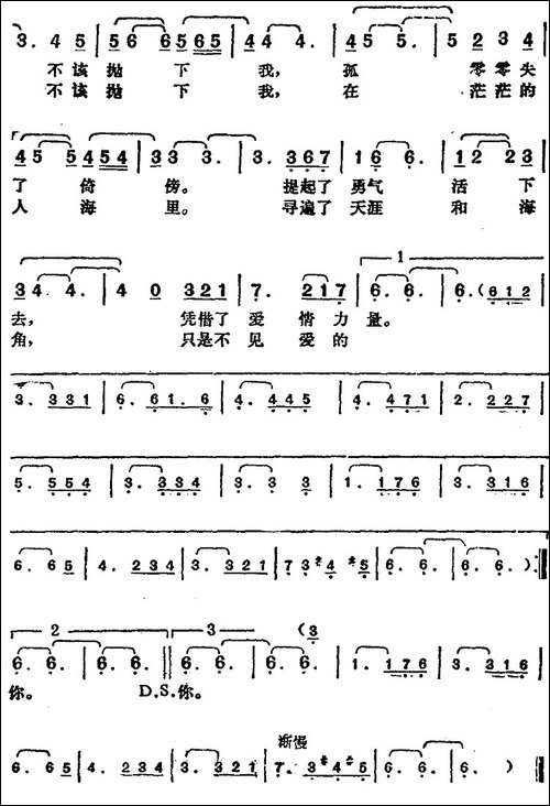 邓丽君演唱金曲：冬之恋情