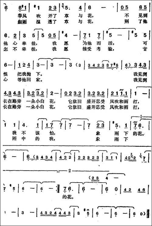 邓丽君演唱金曲：雨下的花朵