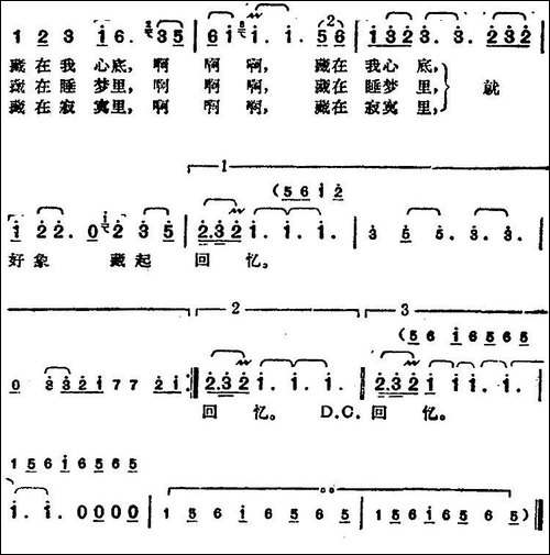 邓丽君演唱金曲：泪的小雨