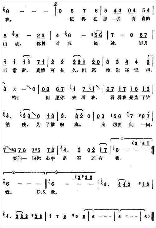 邓丽君演唱金曲：愿你来看我