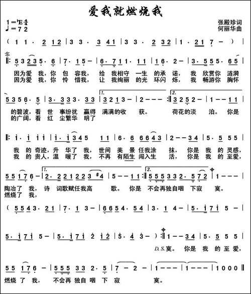 爱我就燃烧我--又名：爱我，就燃烧我