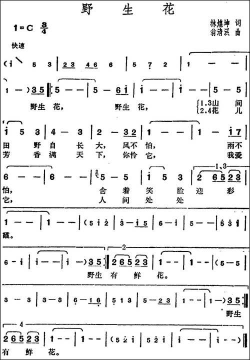 邓丽君演唱金曲：野生花