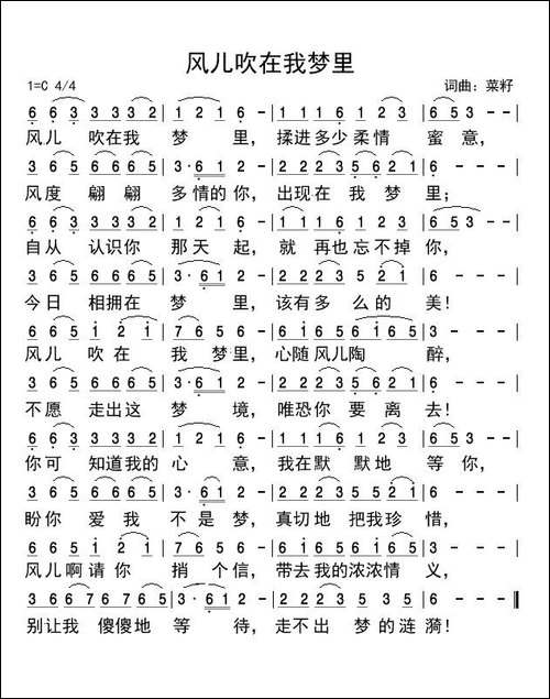 风儿吹在我梦里