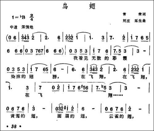 鸟翅