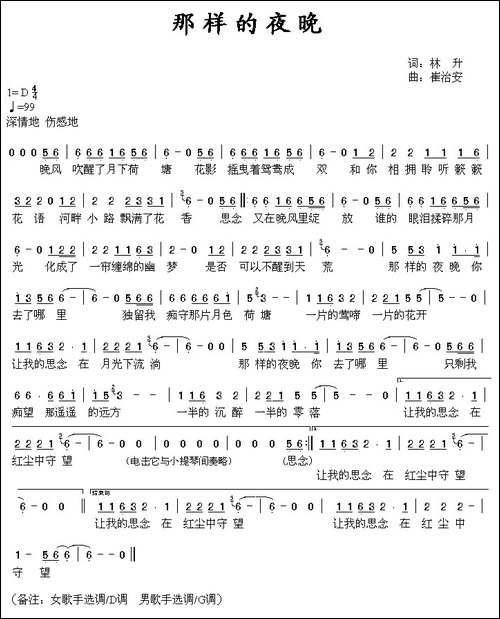 那样的夜晚