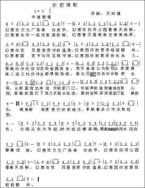 新野情歌