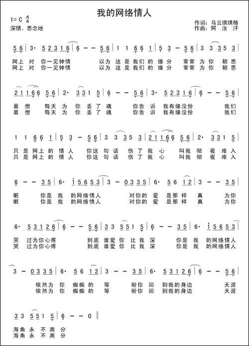 我的网络情人