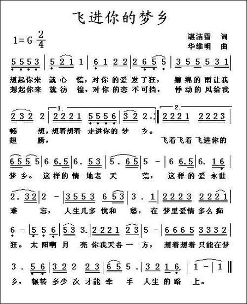 飞进你的梦乡