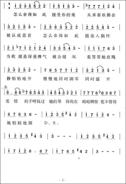 羞答答的玫瑰静悄悄的开
