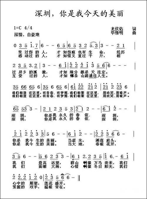 深圳，你是我今天的美丽