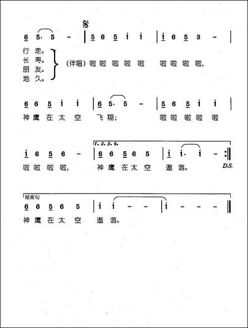 神鹰在太空招手