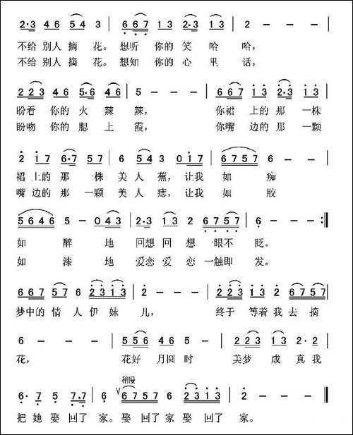 梦中的情人伊妹儿
