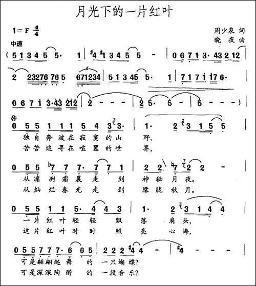月光下的一片红叶