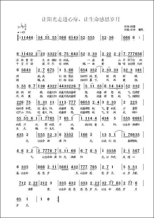 迎着太阳飞