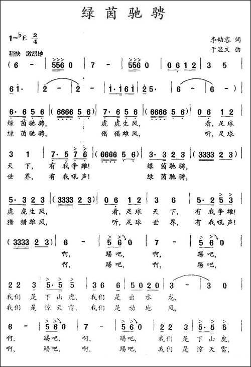 绿茵驰骋