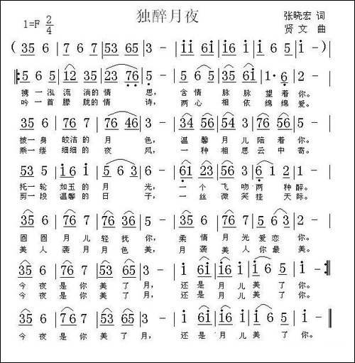 独醉月夜